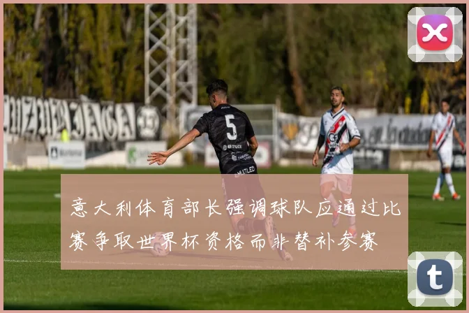 意大利体育部长强调球队应通过比赛争取世界杯资格而非替补参赛
