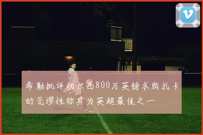 希勒批评切尔西800万英镑求购扎卡的荒谬性称其为英超最佳之一