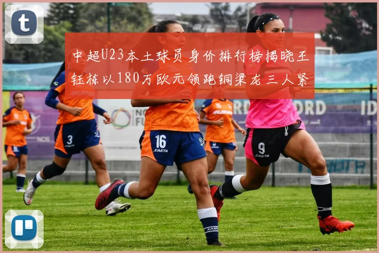 中超U23本土球员身价排行榜揭晓王钰栋以180万欧元领跑铜梁龙三人紧随其后